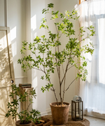 Artificial Japanese Enkianthus Tree: Small