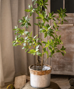 Artificial Japanese Enkianthus Tree: Small