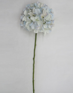 24" Hydrangea Stem