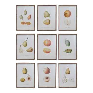 Vintage Reproduction Fruit Art Prints