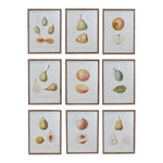 Vintage Reproduction Fruit Art Prints