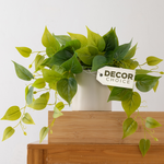 Pothos in White Pot - Faux Indoor Plant